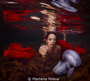 Underwater passion. by Plamena Mileva 